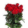 achat fleur