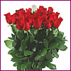 Offrir des fleurs