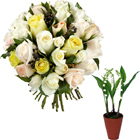 roses et chocolats roses chez nom de la rose