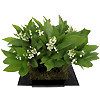 panier de muguet porte bonheur